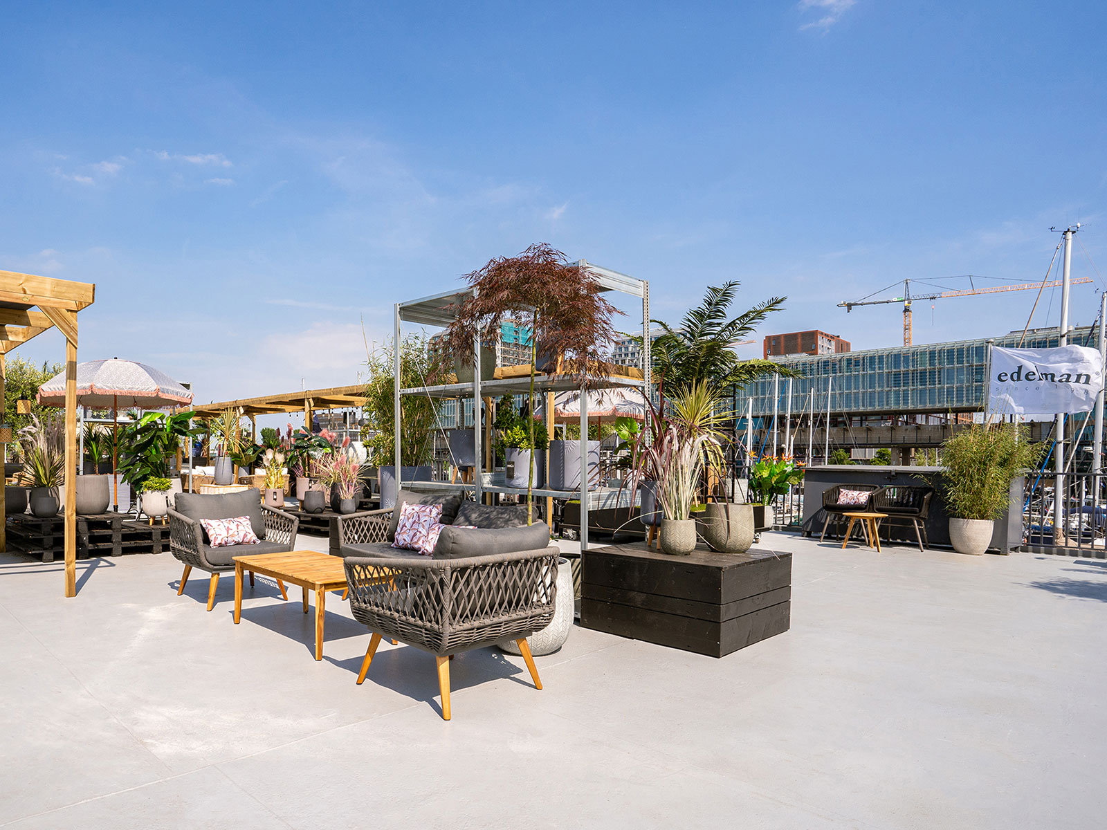 Roadshow Edelman outside deck Oceandiva Original